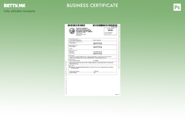 модерен стил САД Калифорнија статии на организацијата компанија со ограничена од